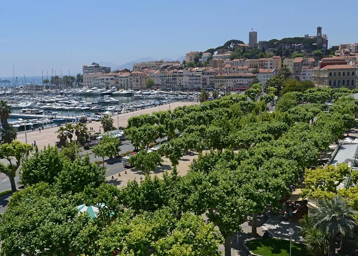 スプレンディッド カンヌ